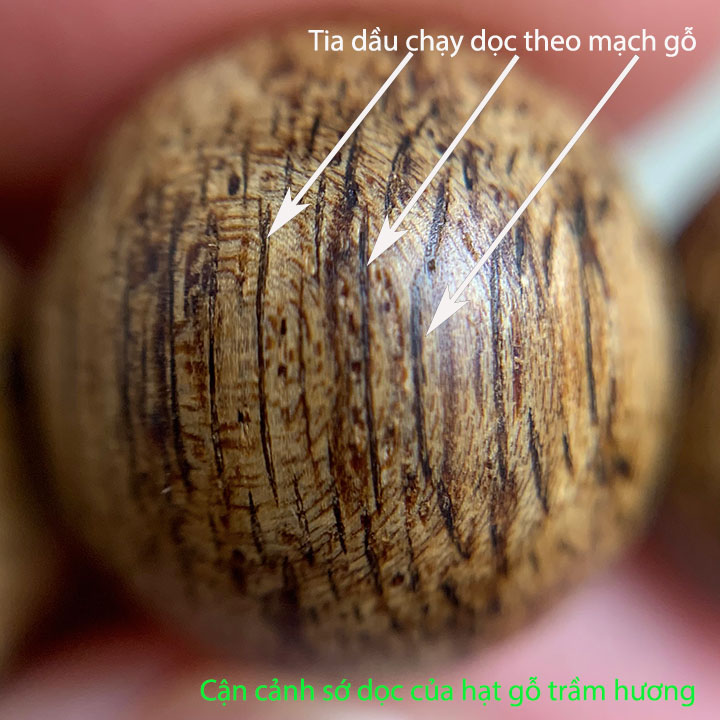 Trầm Hương Là Gì - Công Dụng - Cách Nhận Biết Trầm Hương